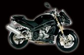 2009 MZ 1000 SF StreetFighter photo